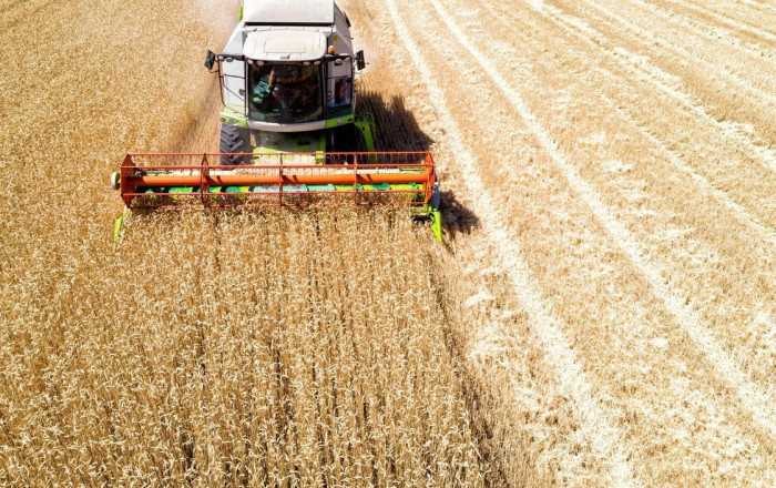 Ucraina a pierdut un sfert din terenurile cultivabile ca urmare a invaziei ruse