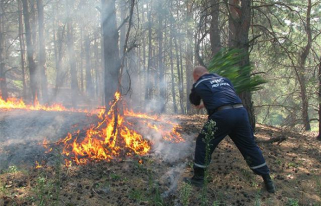 În Transcarpatia este interzisă vizitarea pădurilor