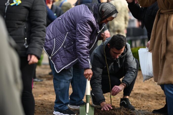 Aleea Mărului, dedicată mamelor și văduvelor apărătorilor căzuți ai Ucrainei, a fost plantată în Transcarpatia