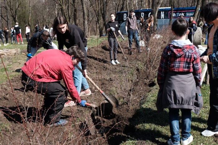 În regiunea Cernăuți se planifică să fie plantați aproape două milioane de copaci