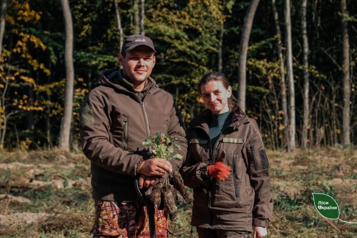 9 hectare de păduri vor apare în nordul Bucovinei