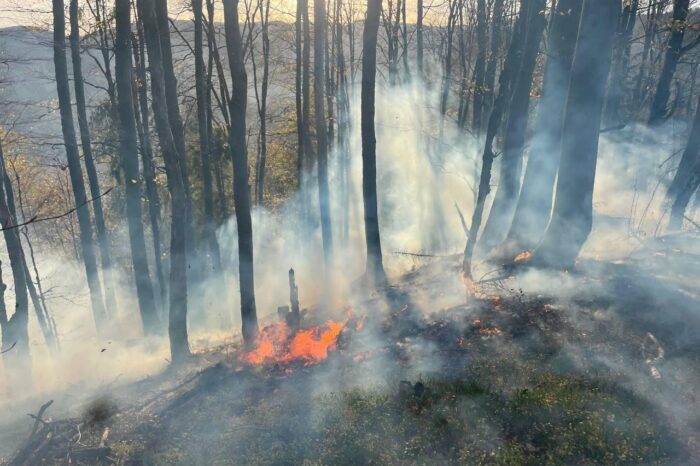 Un incendiu a izbucnit într-un parc național din regiunea Cernăuți