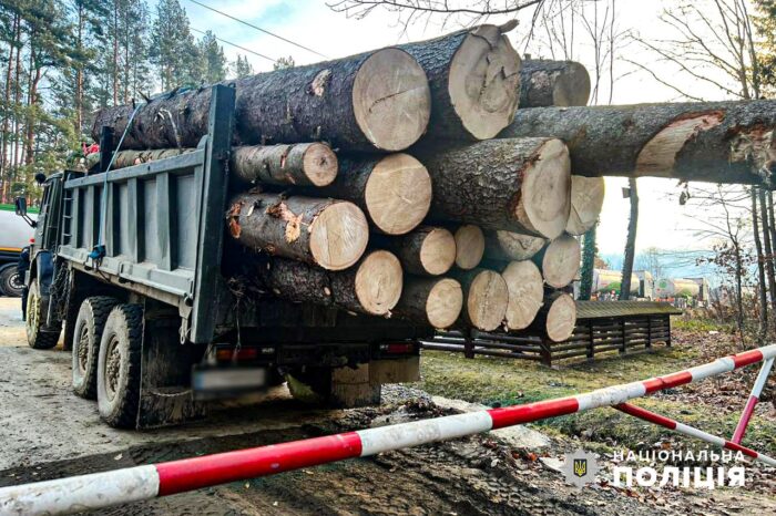 Crasna: Un bărbat a fost depistat în timp ce transporta ilegal lemn de brad