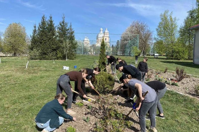 Curățenia și ordinea, înseamnă sănătate și putere