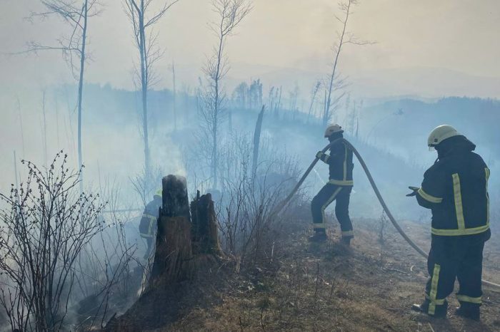 În regiunea Transcarpatia  au fost incendiate aproape 6 hectare de pădure