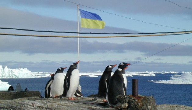 Ucraina a alocat 463 milioane de grivne pentru studierea pinguinilor din Antarctica