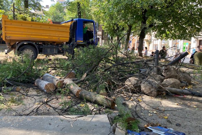 În scuarul Eminescu din centrul Cernăuți au fost tăiați mai mulți copaci (foto)