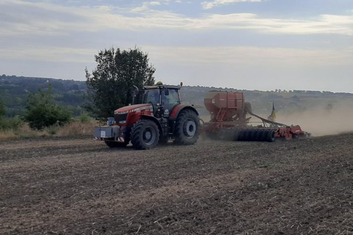 În regiunea Cernăuți se planifică însămânțarea a peste 50.000 ha de culturi agricole de toamnă